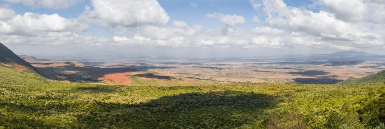 🇰🇪 Kenya