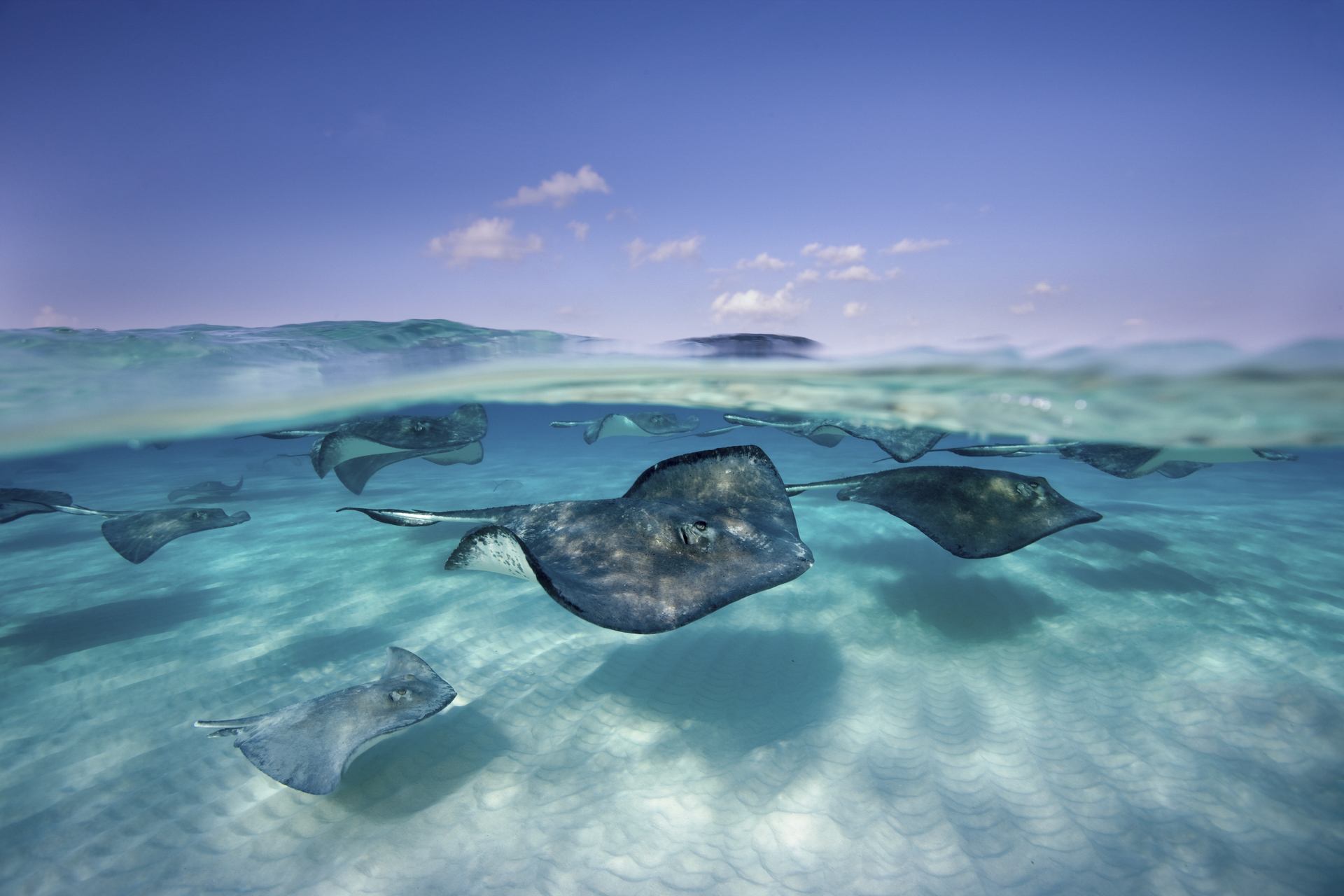 🇰🇾 Cayman Islands