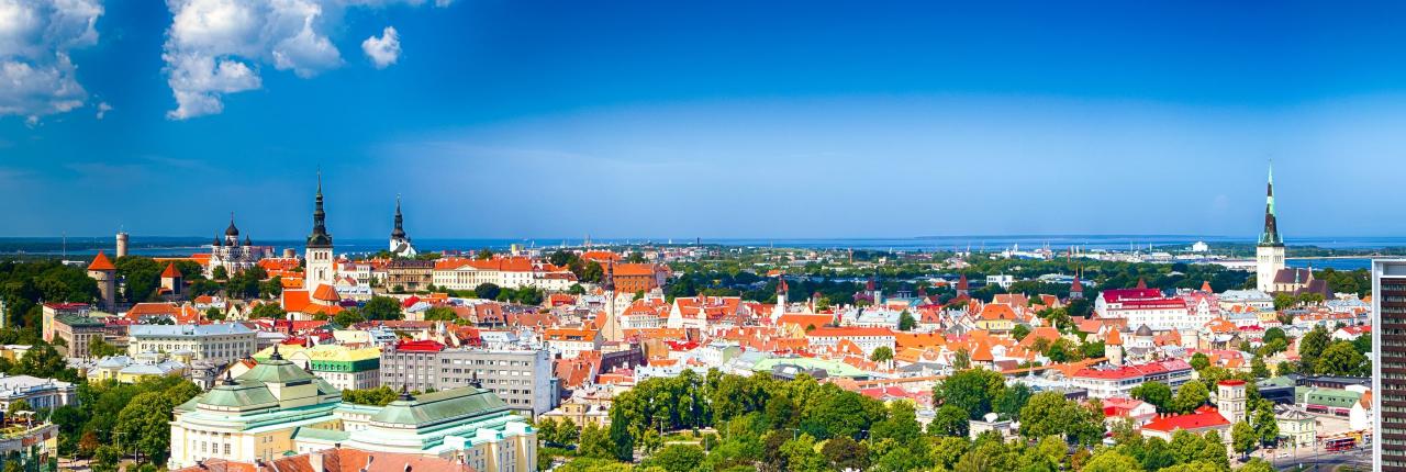🇪🇪 Estonia